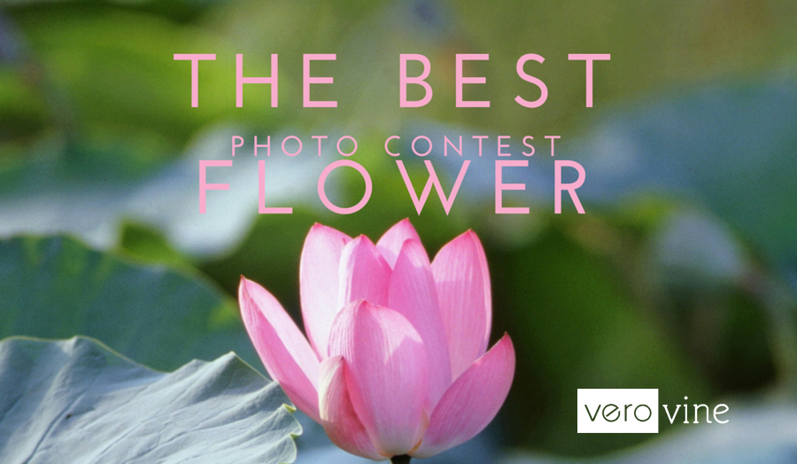 Best Flower Photo Contest