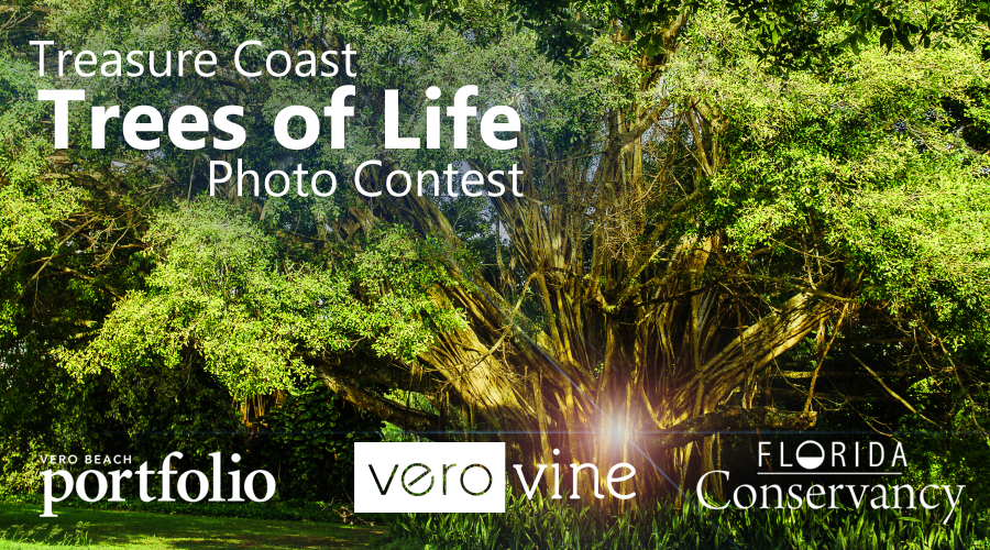 Treasure Coast Trees of Life Photo Contest