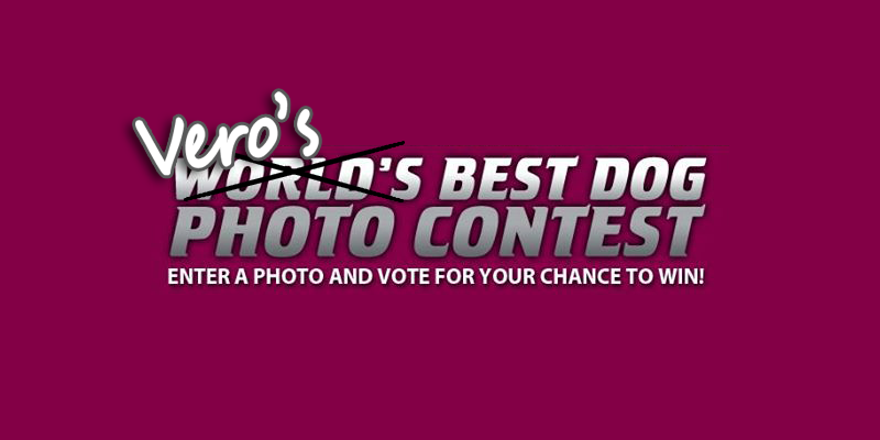 Vero's Best Dog Photo Contest