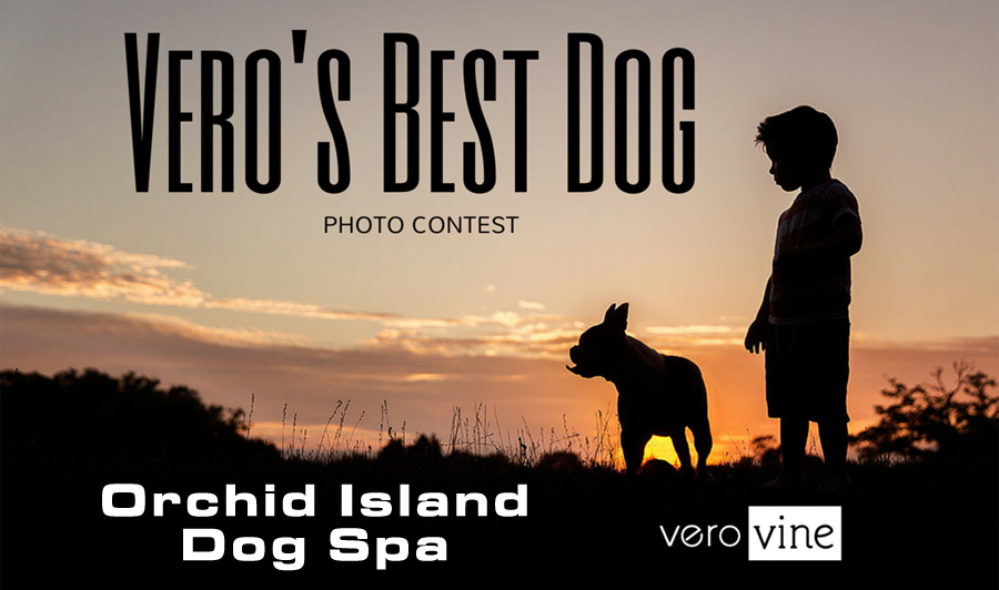 Vero's Best Dog Photo Contest