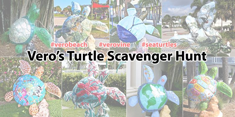 Vero's Turtle Scavenger Hunt