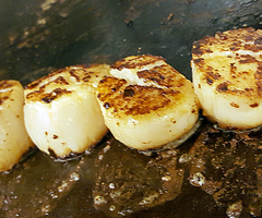 Diver Scallops