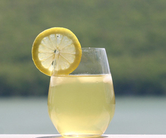 Fresh Lemonade