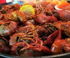 Crawfish 