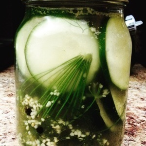 Dill and garlic pickled zucchini chips