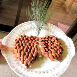 Pine Cone Cream Cheese Spread